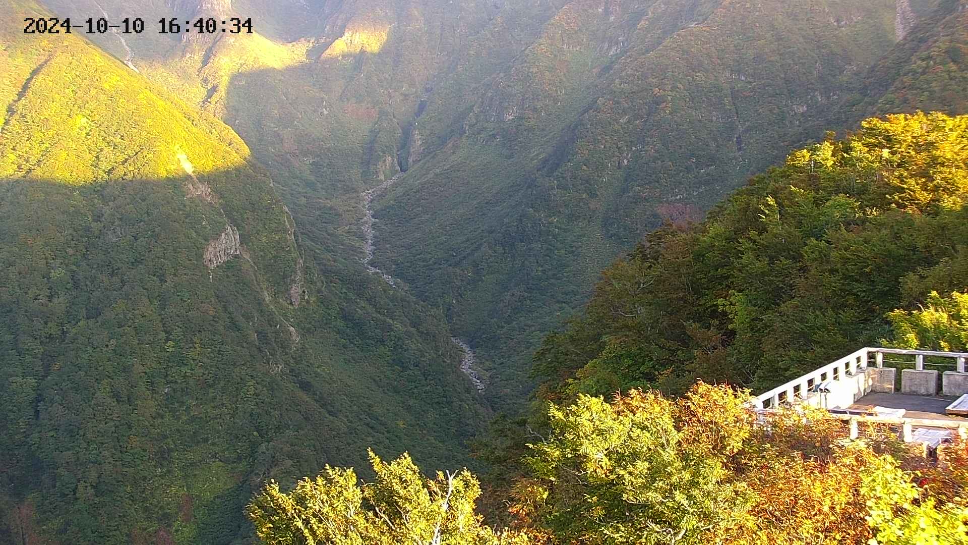 naso20241010164036.jpg