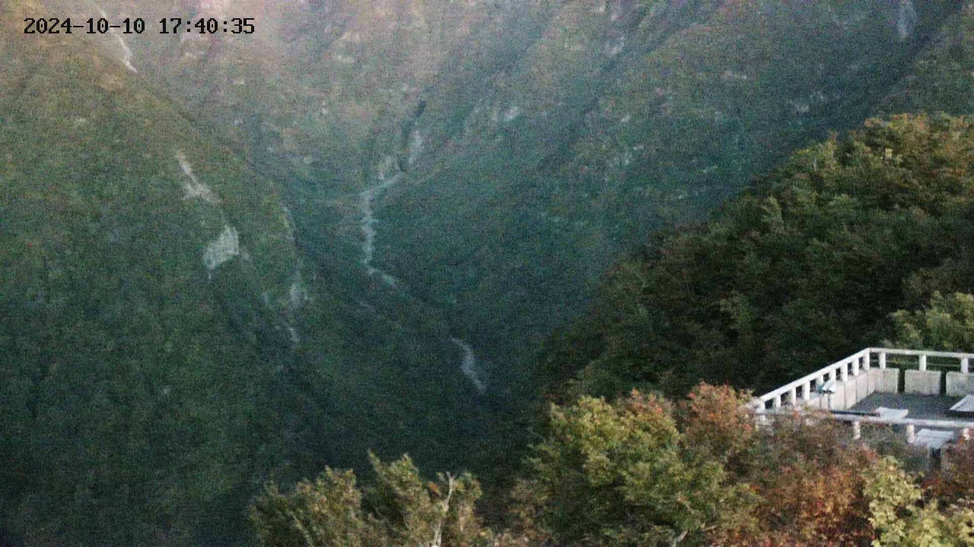 naso20241010174036.jpg