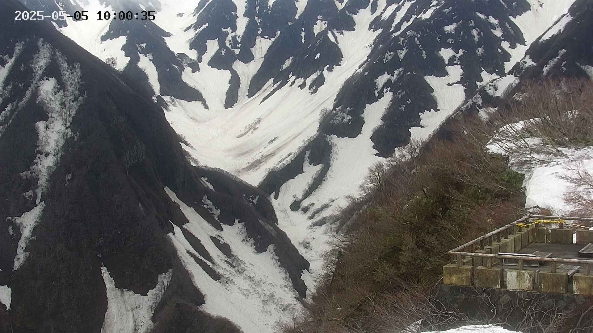 naso20250505100037.jpg