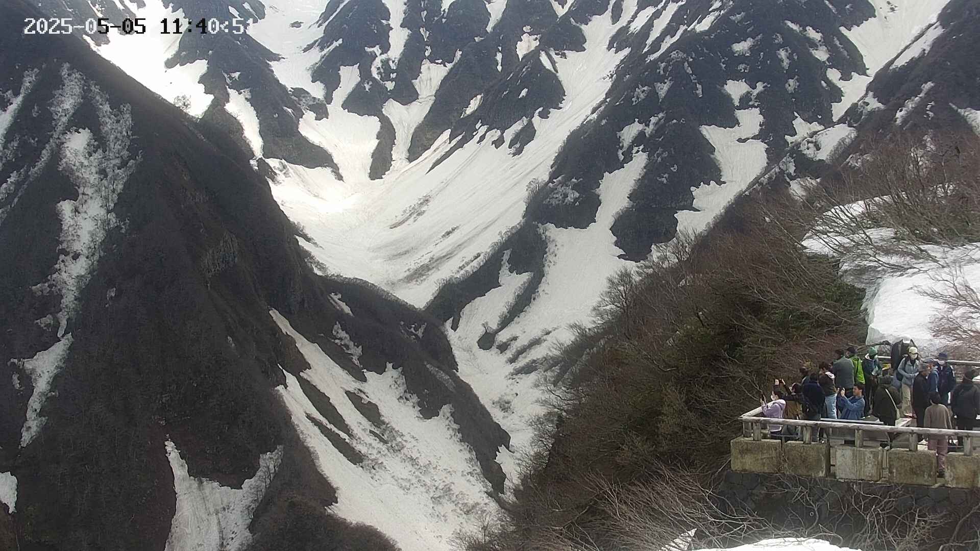 naso20250505114113.jpg