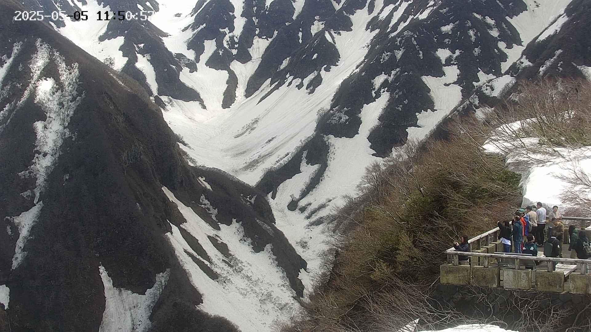 naso20250505115128.jpg