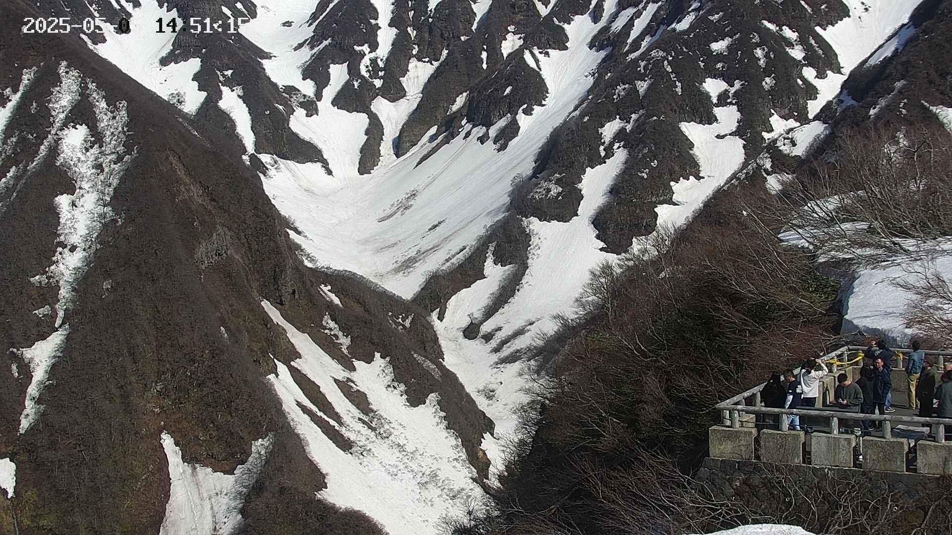 naso20250505145149.jpg