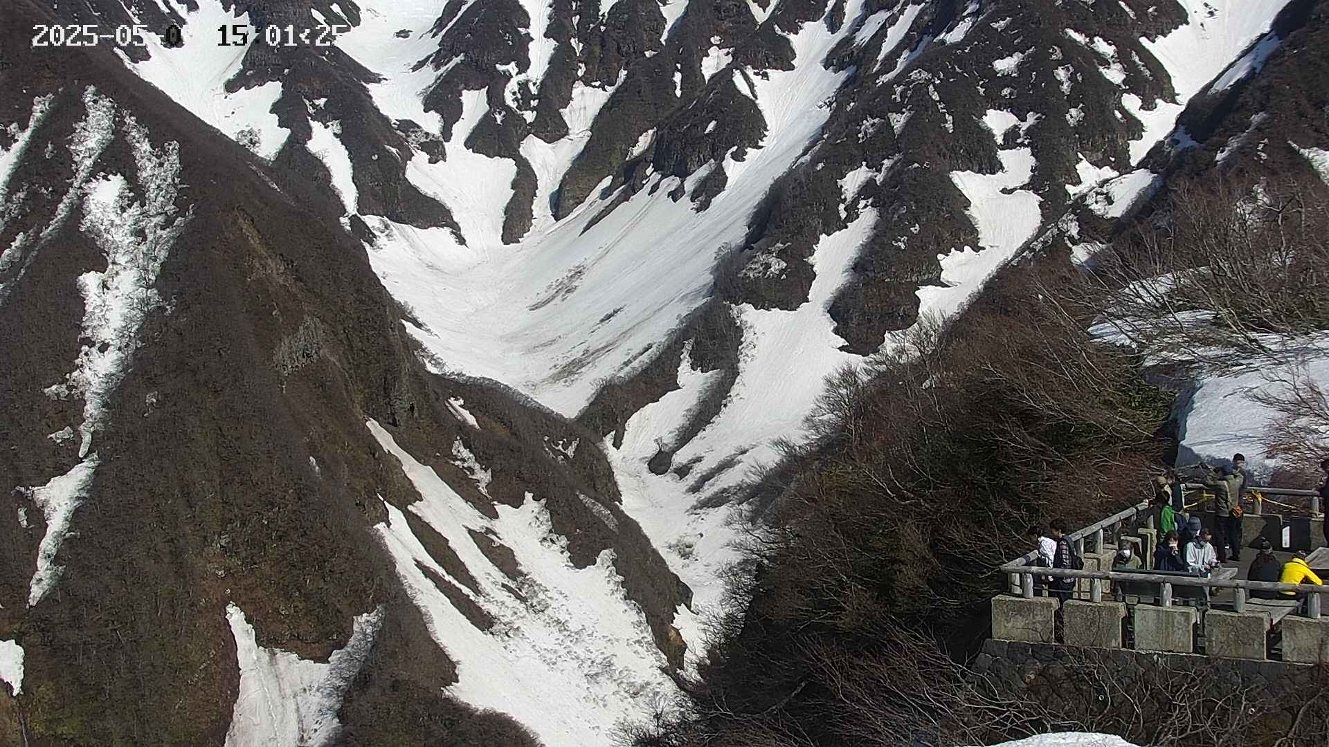 naso20250505150208.jpg
