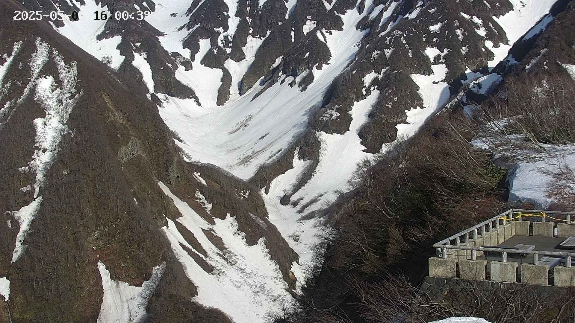 naso20250505160041.jpg