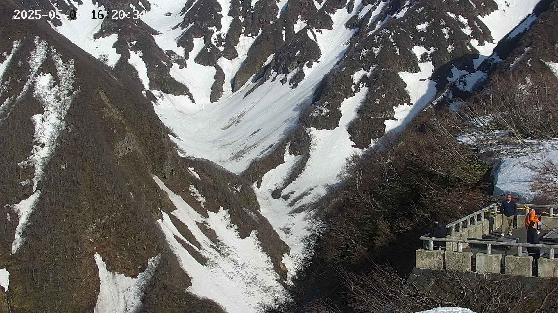 naso20250505162036.jpg
