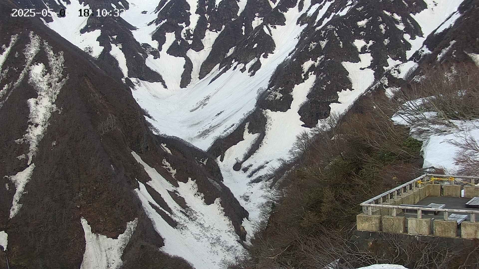 naso20250505181035.jpg