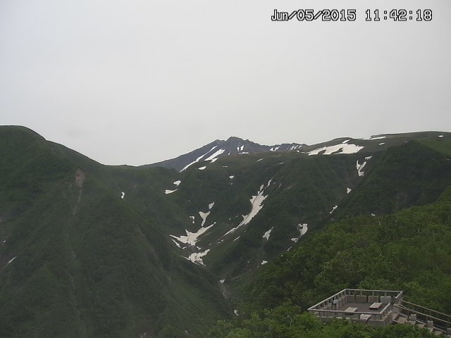 zenkei20150605114218.jpg