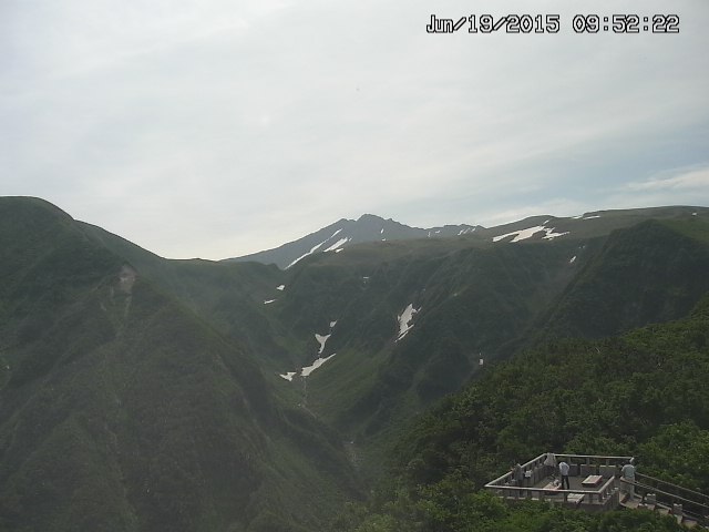 zenkei20150619095223.jpg