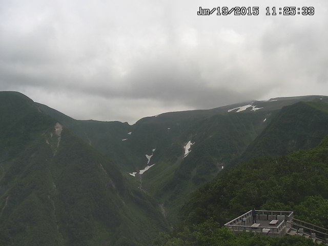 zenkei20150619112533.jpg