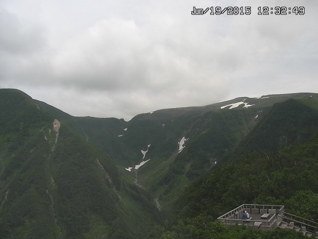 zenkei20150619123250.jpg