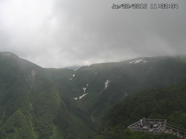 zenkei20150620113234.jpg