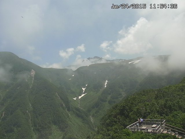 zenkei20150624115437.jpg