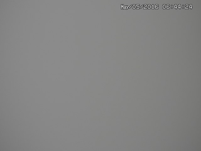 zenkei20160505064427.jpg