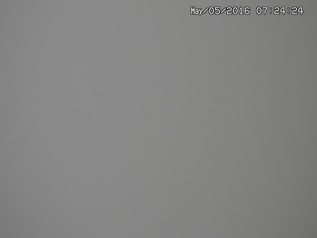 zenkei20160505072426.jpg