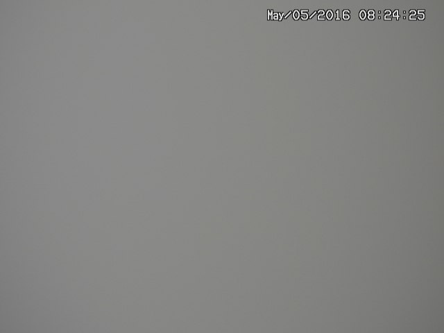 zenkei20160505082427.jpg
