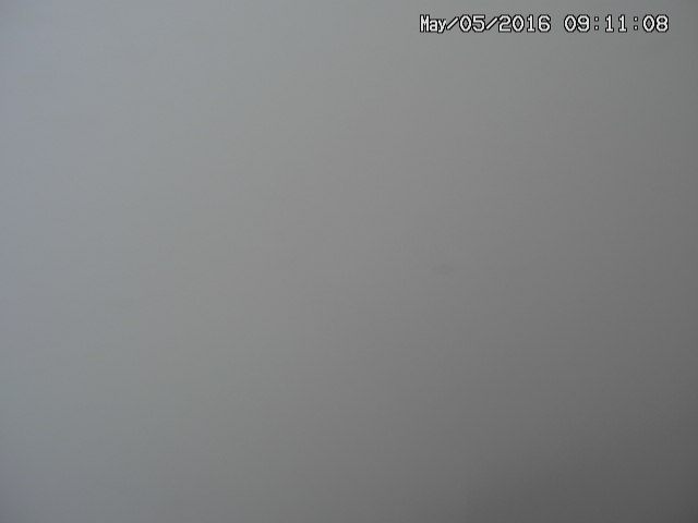 zenkei20160505091110.jpg