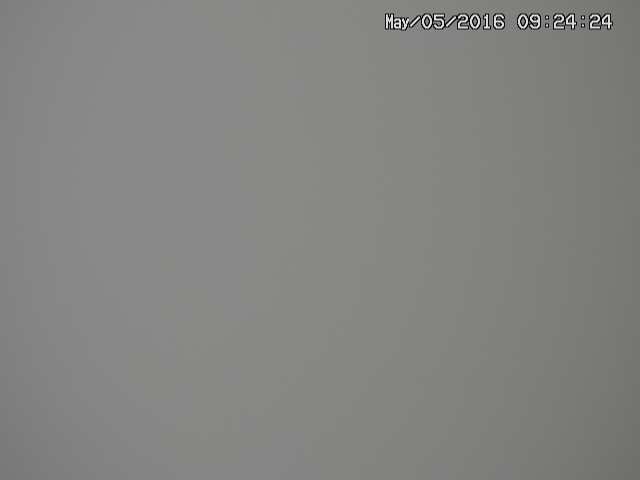 zenkei20160505092427.jpg