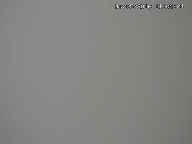 zenkei20160505110427.jpg