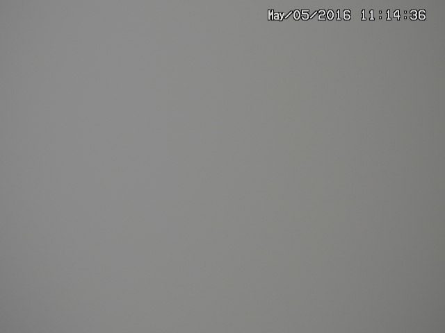 zenkei20160505111438.jpg