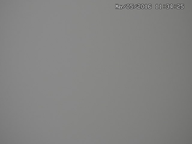 zenkei20160505113427.jpg