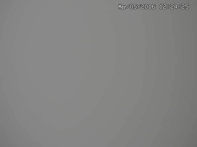 zenkei20160505122426.jpg