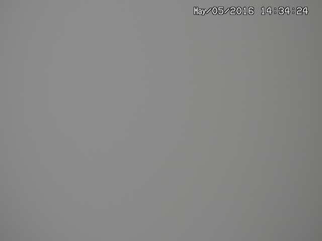 zenkei20160505143427.jpg