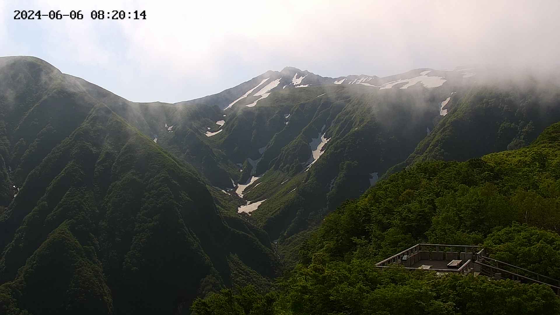 zenkei20240606082015.jpg