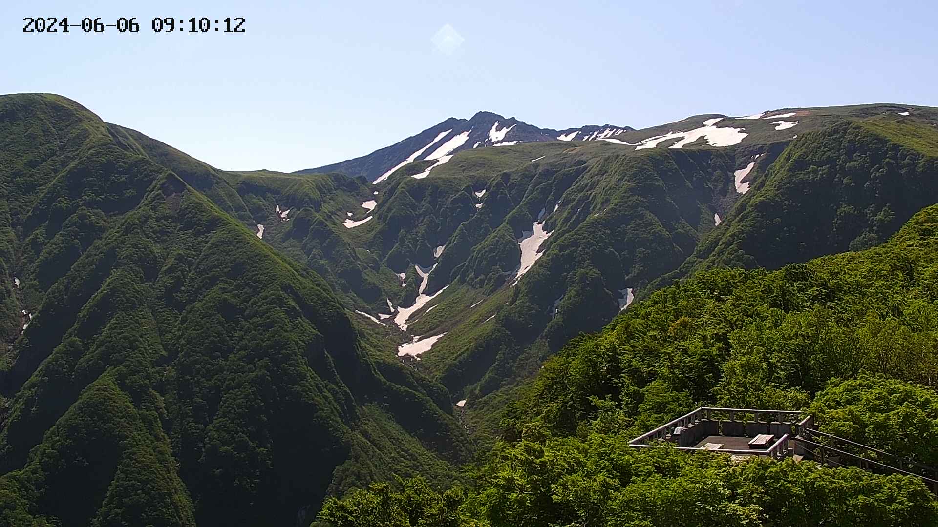 zenkei20240606091013.jpg