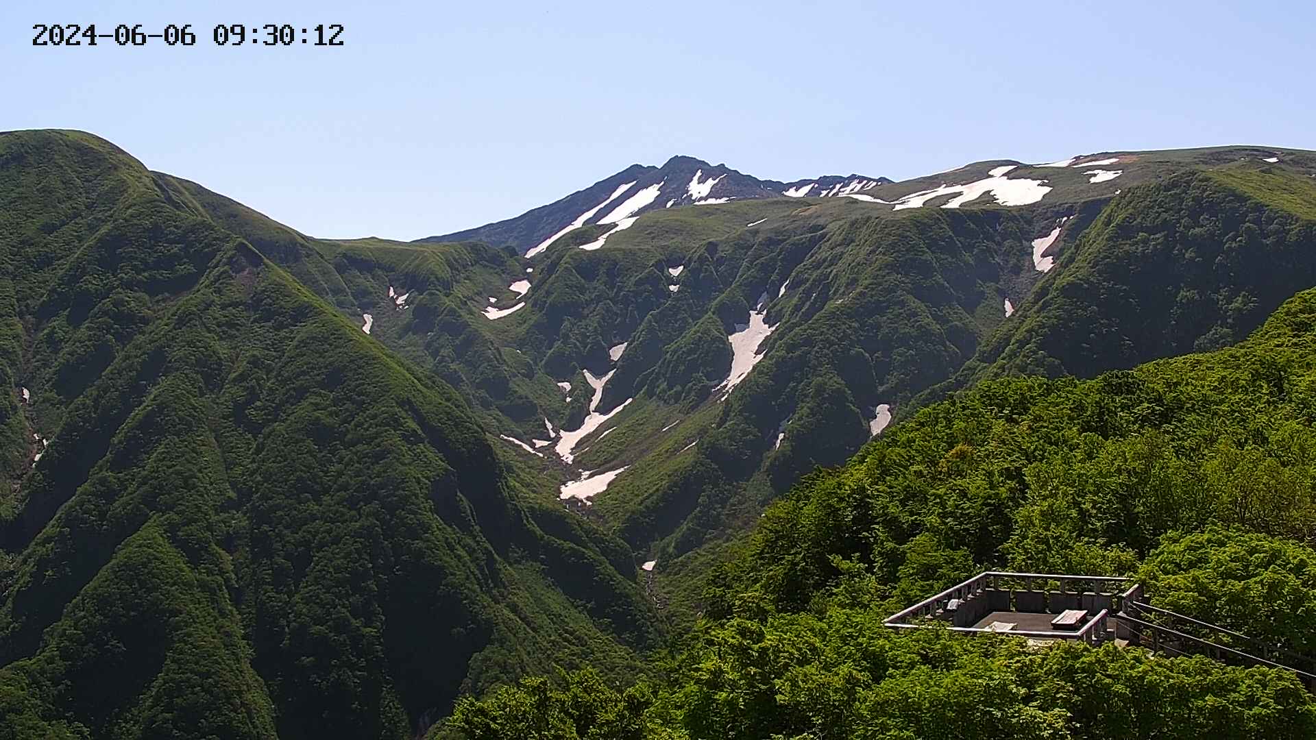 zenkei20240606093014.jpg