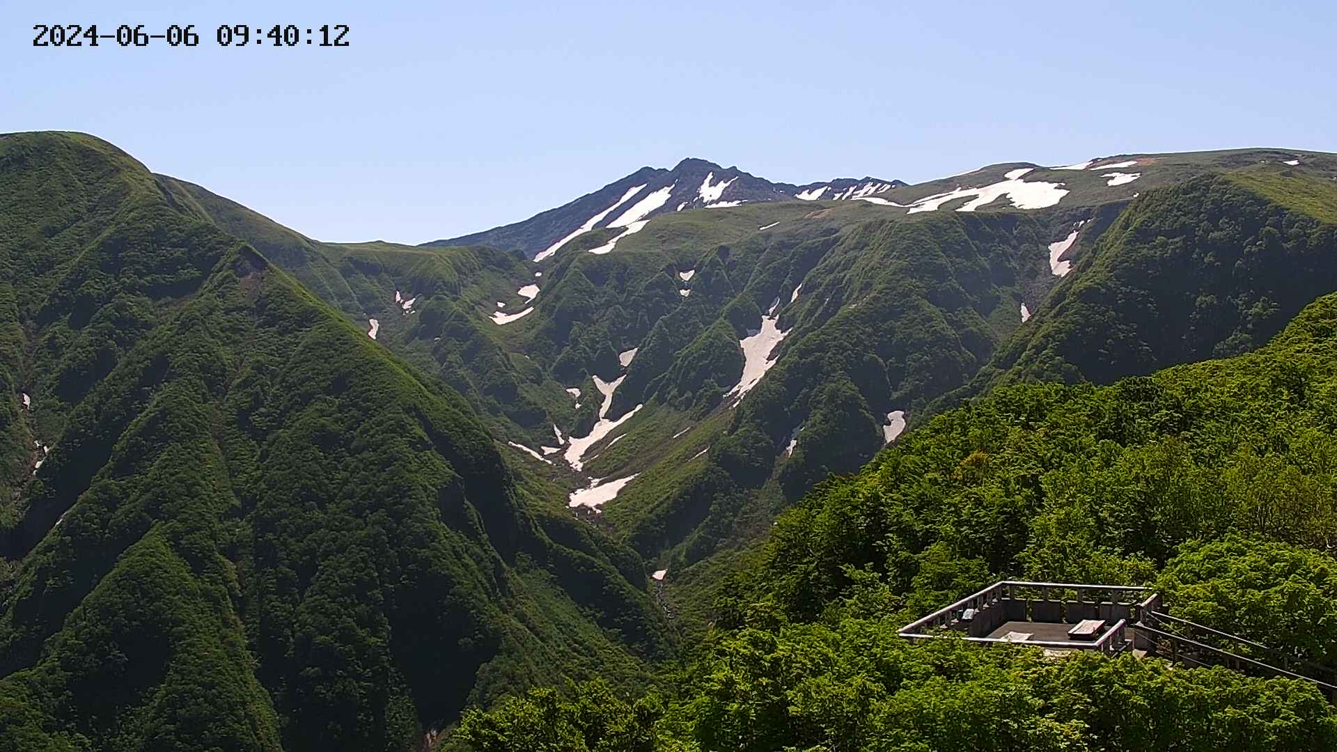 zenkei20240606094014.jpg