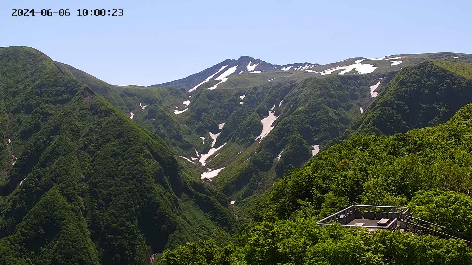 zenkei20240606100025.jpg