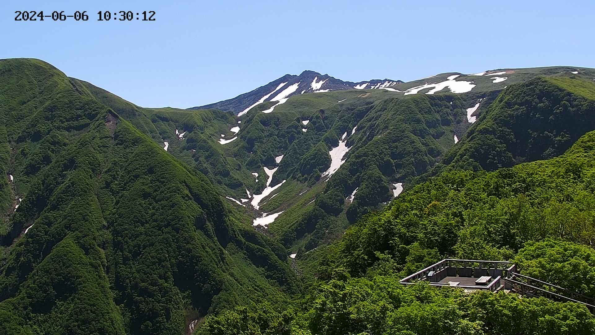 zenkei20240606103014.jpg