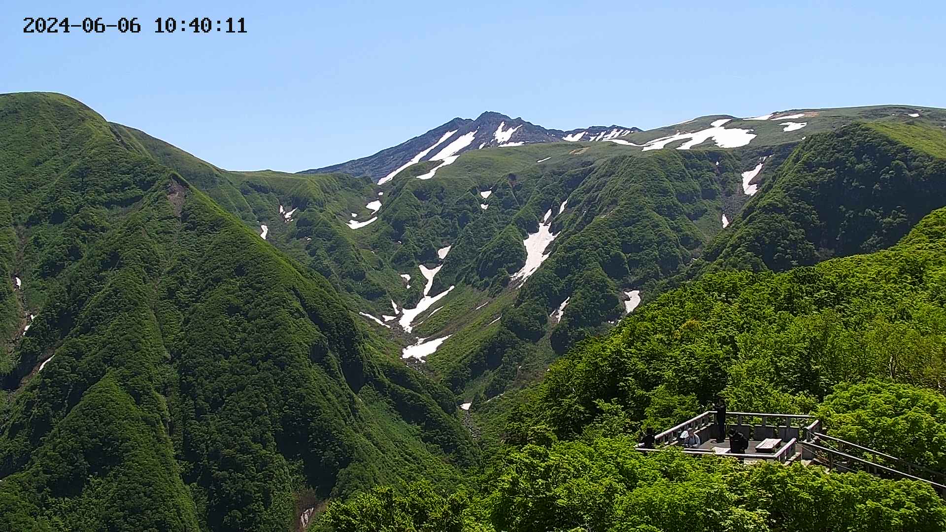 zenkei20240606104014.jpg