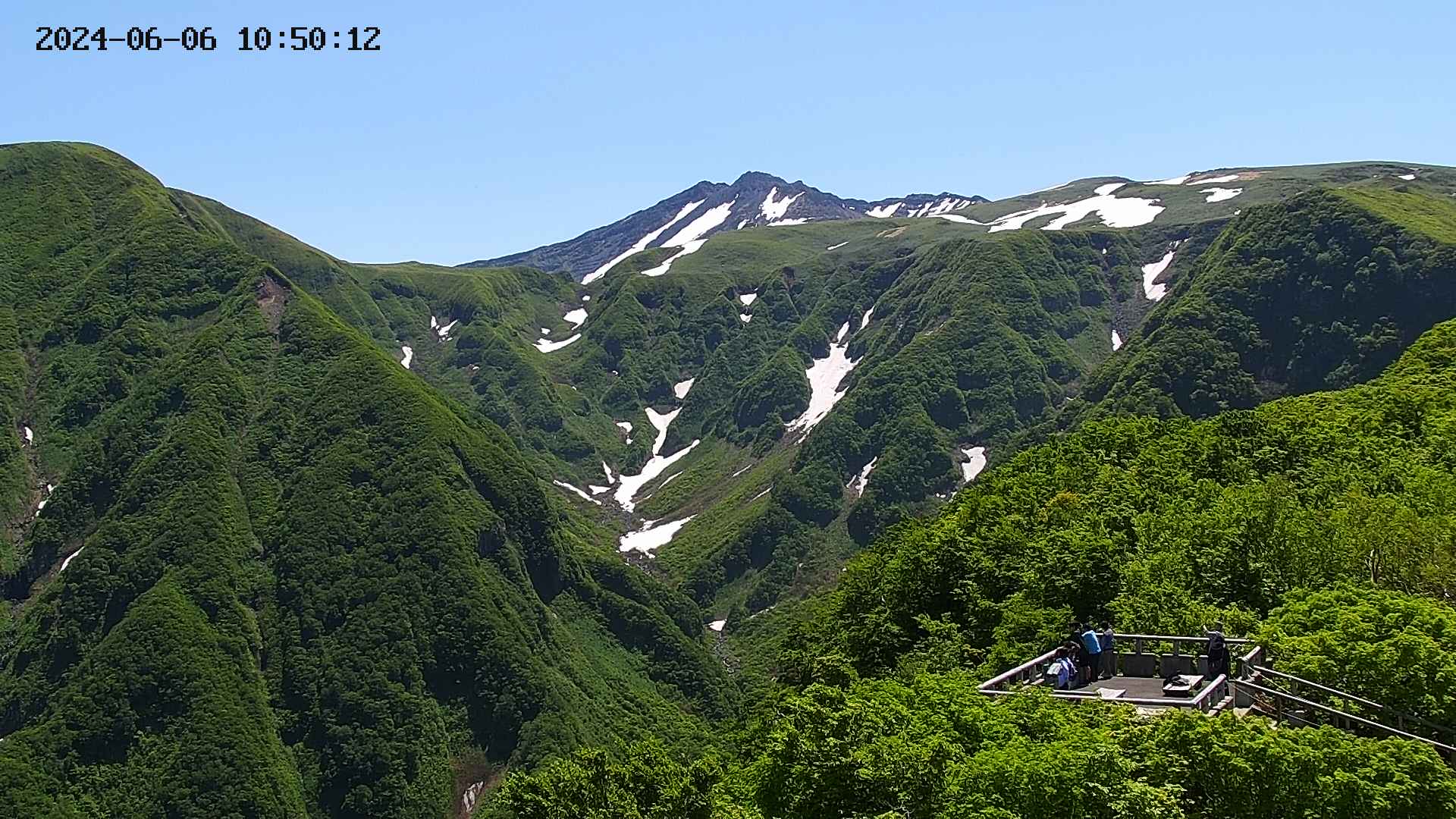 zenkei20240606105014.jpg