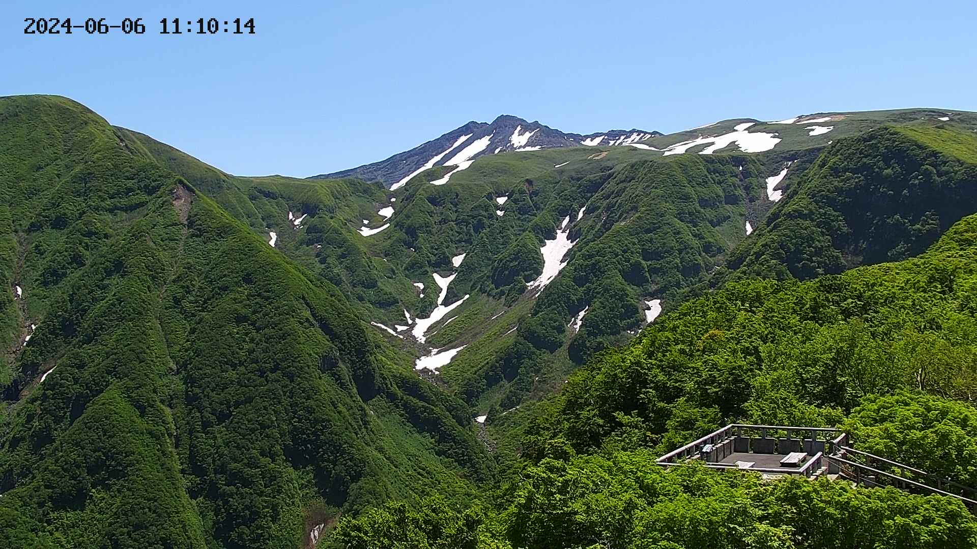 zenkei20240606111016.jpg