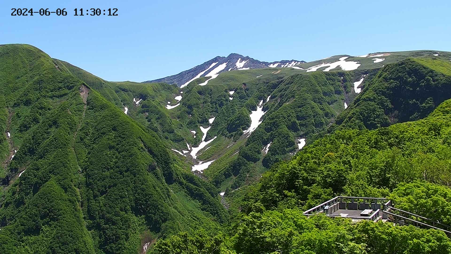 zenkei20240606113014.jpg