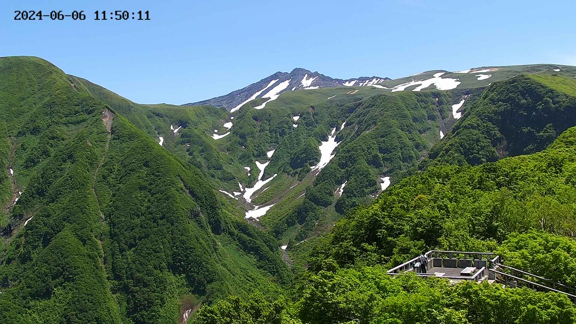 zenkei20240606115014.jpg