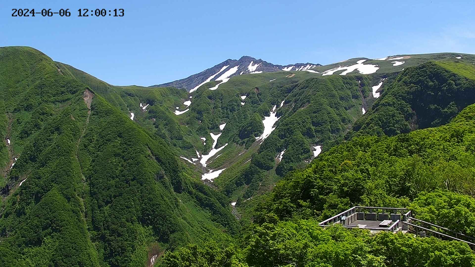 zenkei20240606120015.jpg