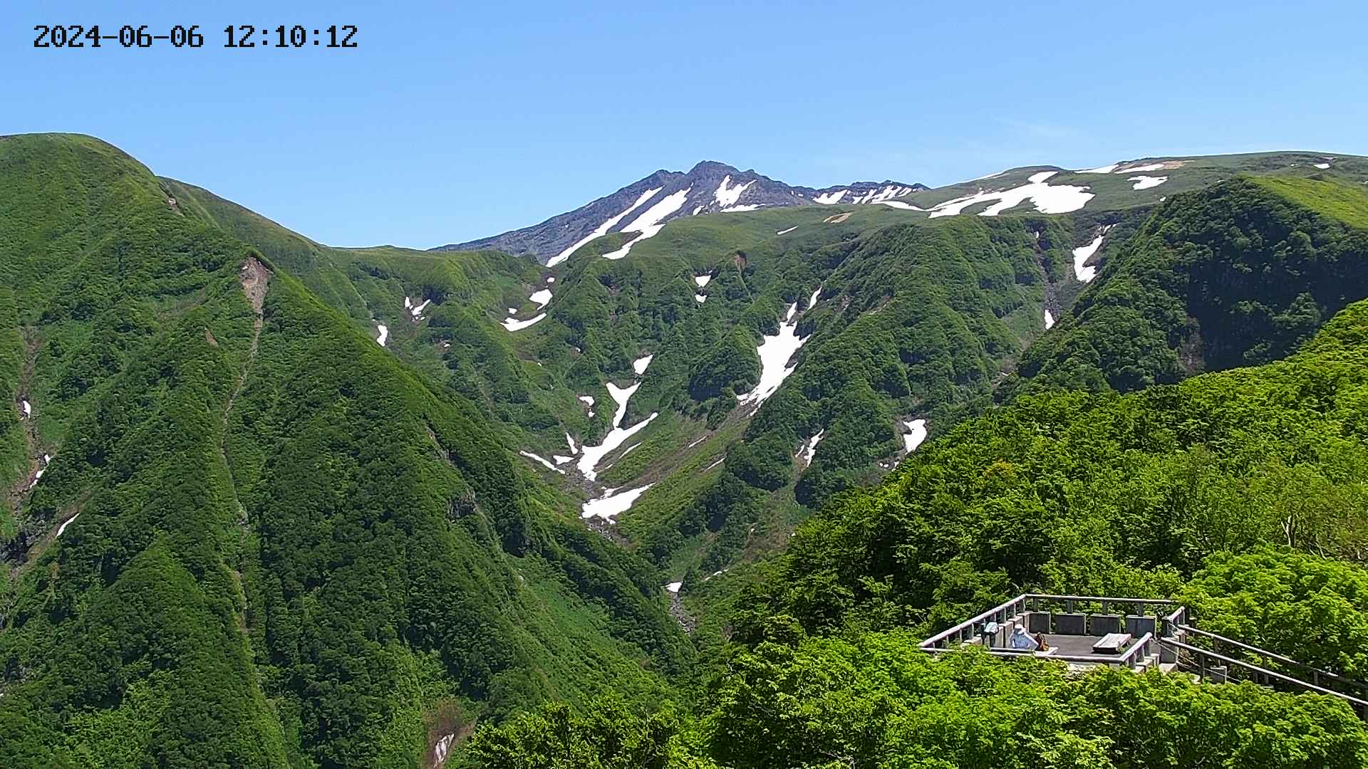 zenkei20240606121014.jpg
