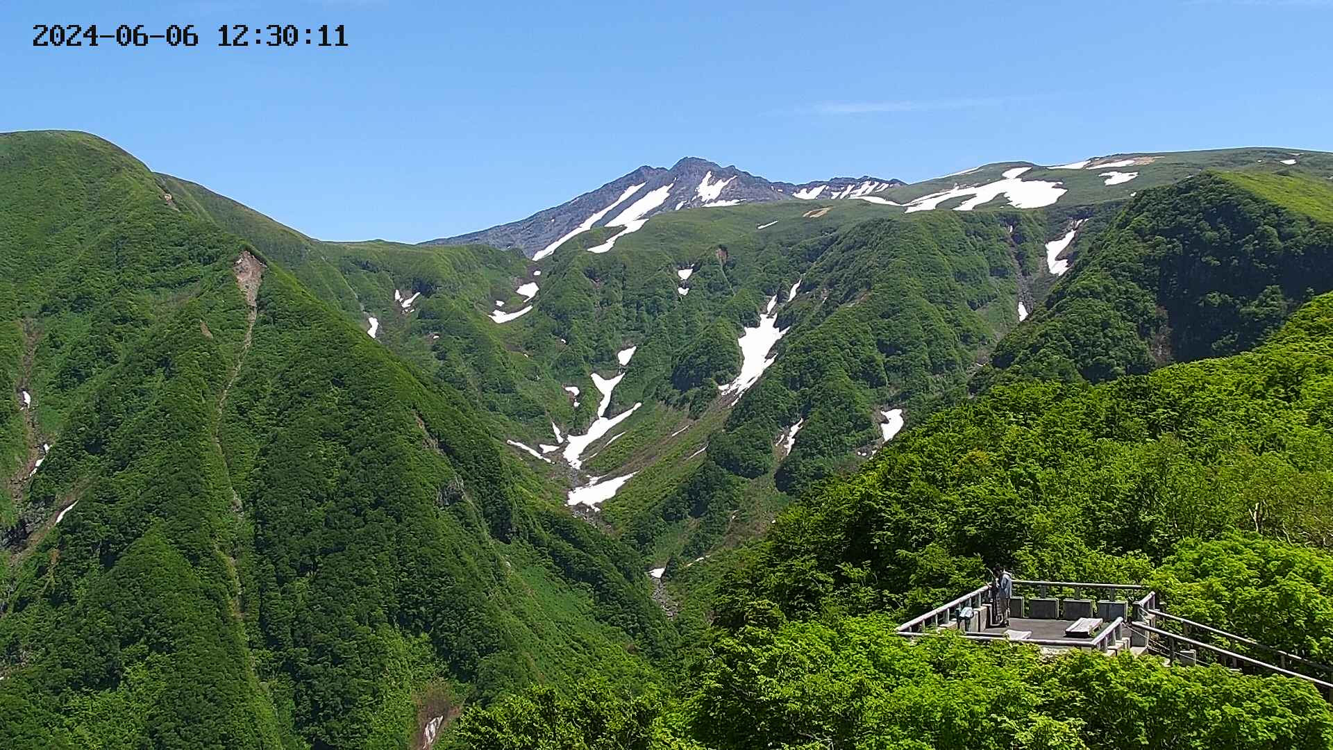 zenkei20240606123014.jpg