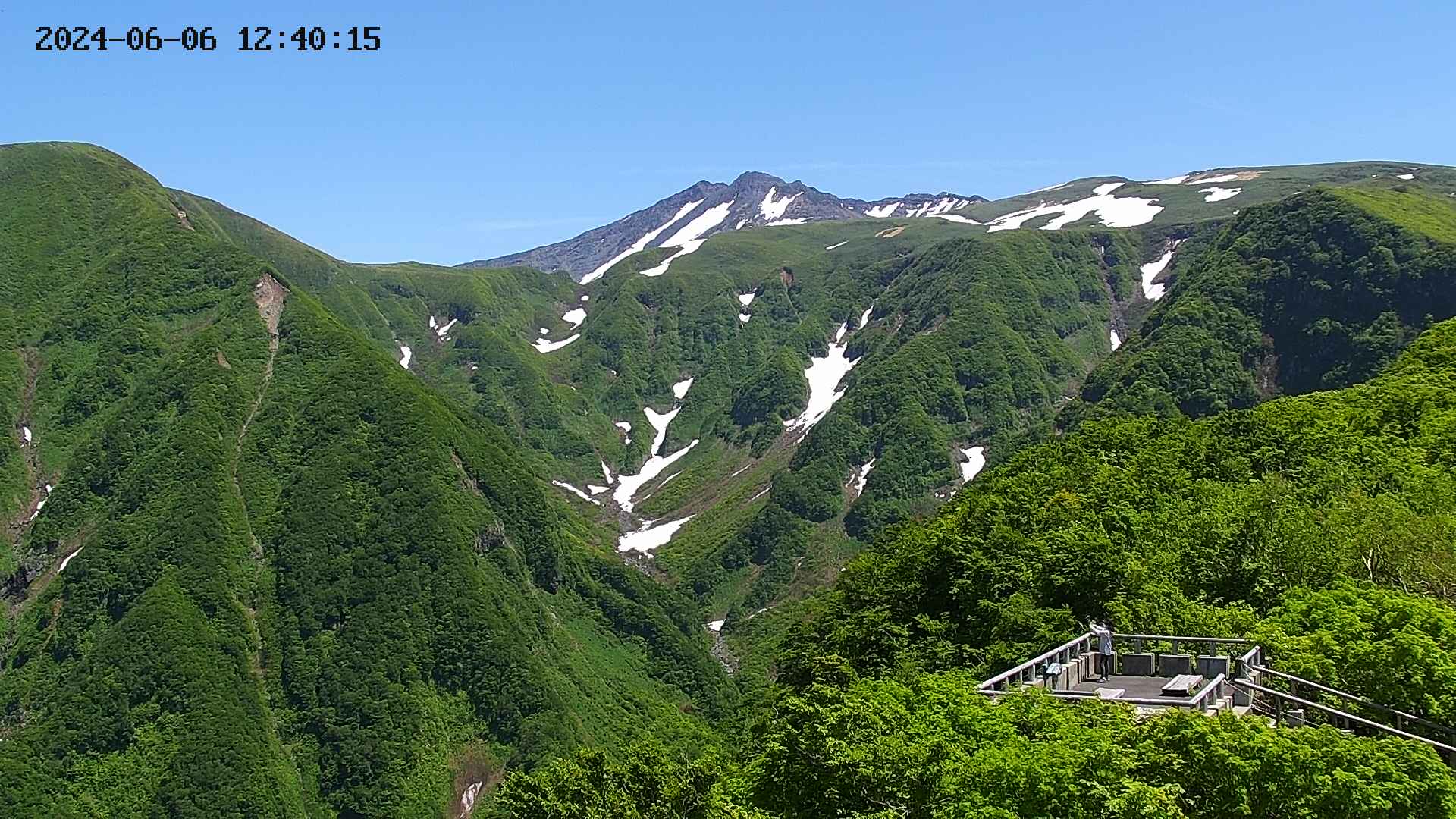 zenkei20240606124018.jpg