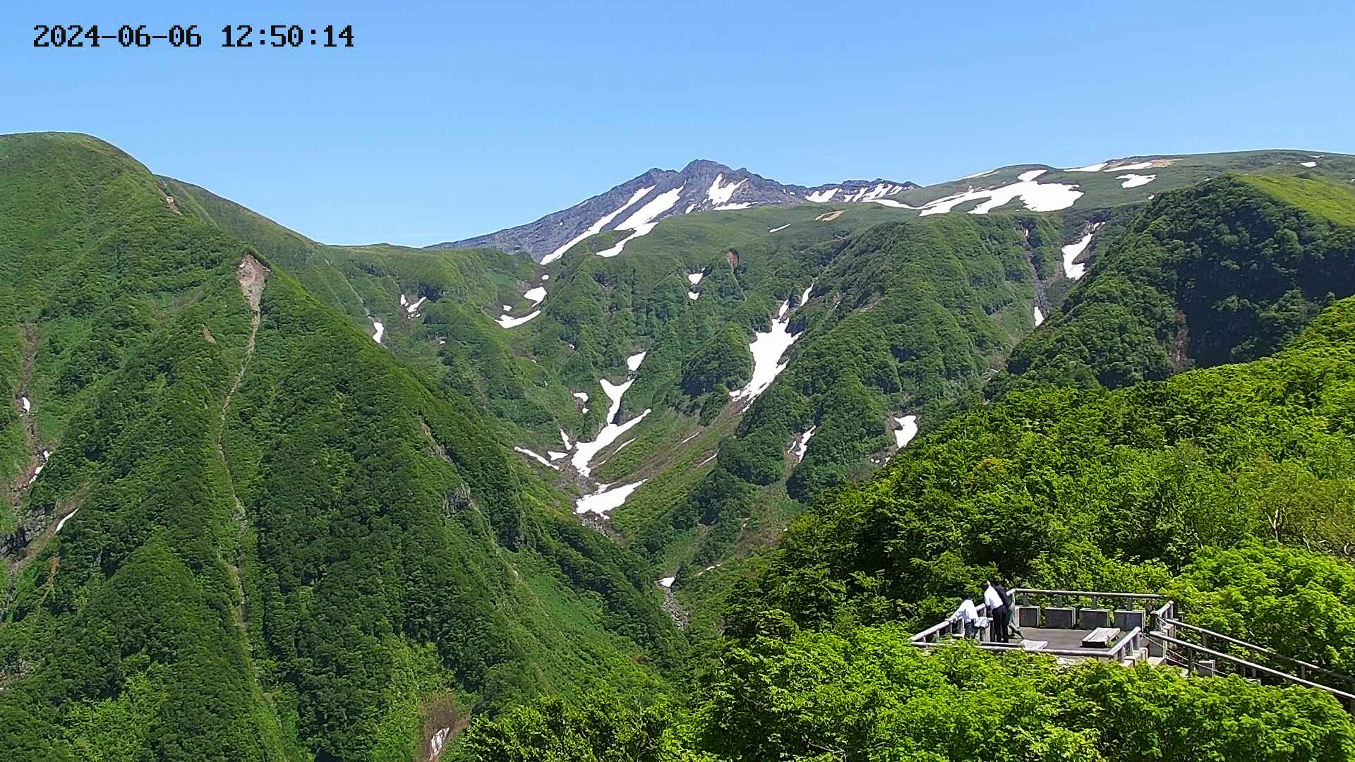 zenkei20240606125017.jpg