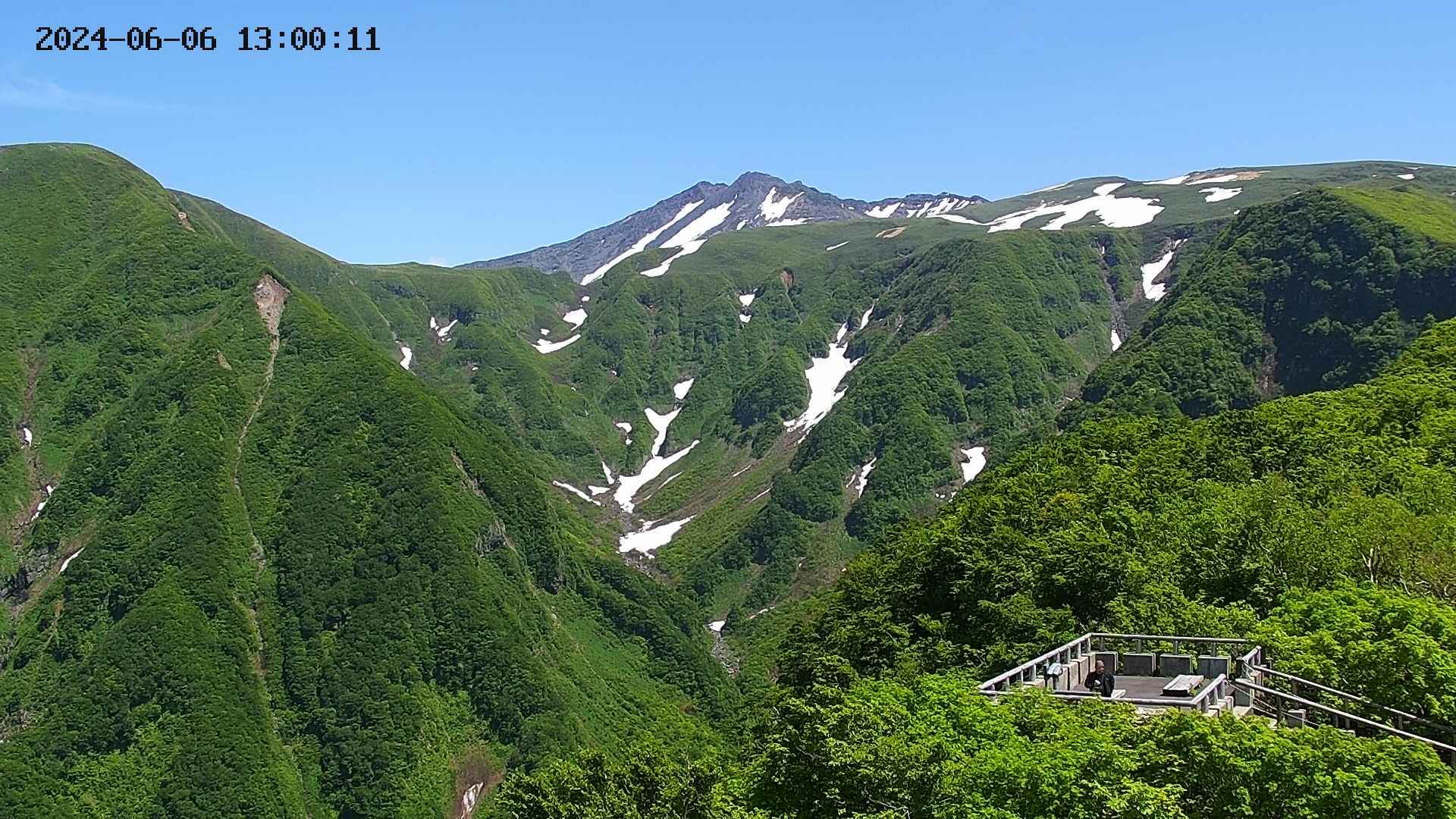 zenkei20240606130014.jpg