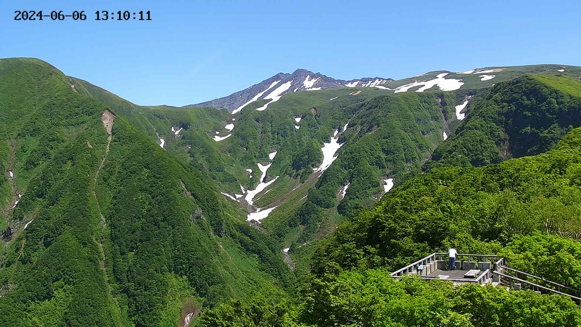 zenkei20240606131014.jpg