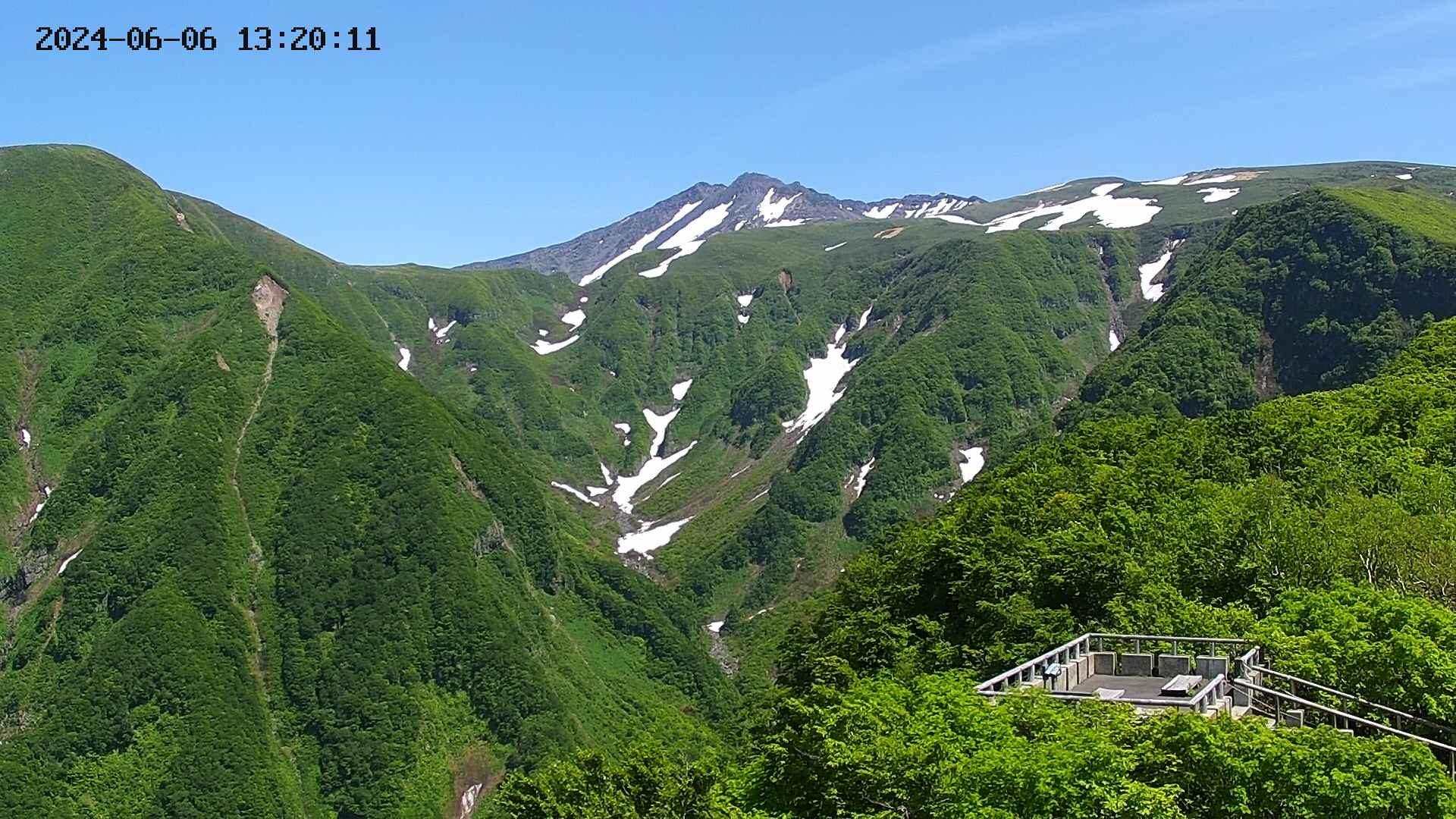 zenkei20240606132014.jpg