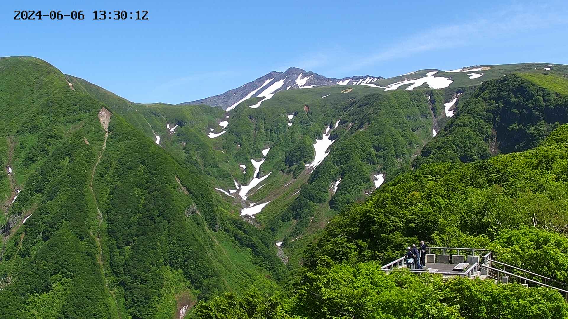 zenkei20240606133014.jpg