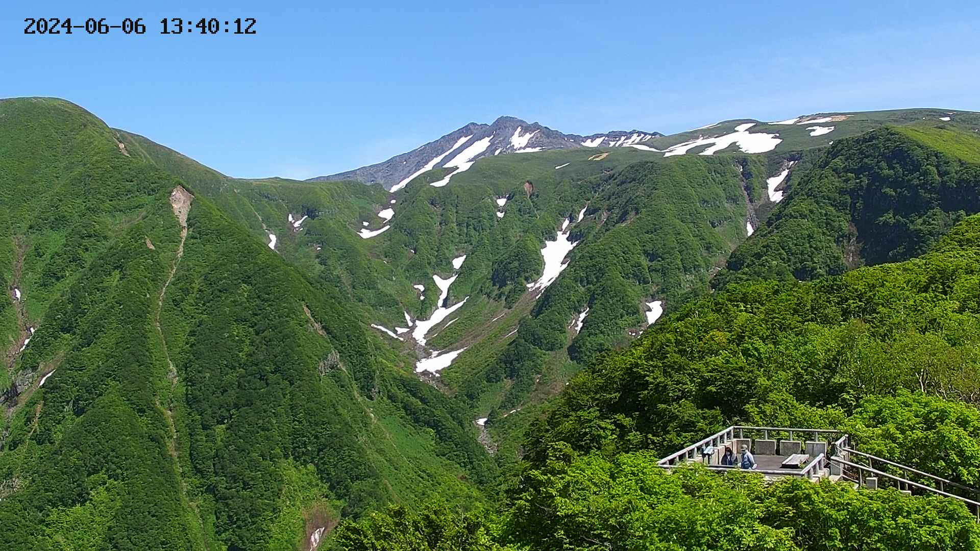 zenkei20240606134015.jpg