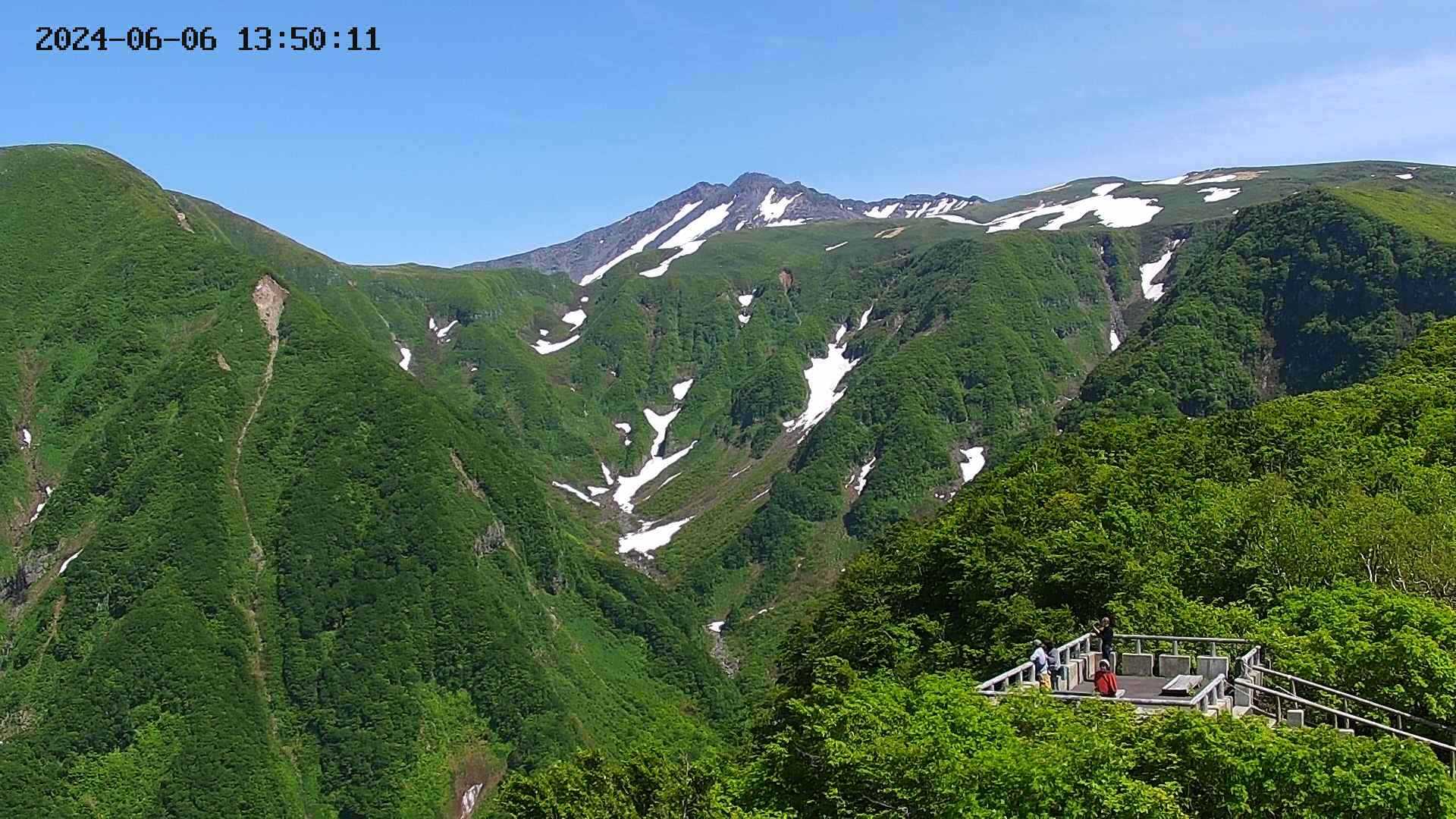 zenkei20240606135014.jpg