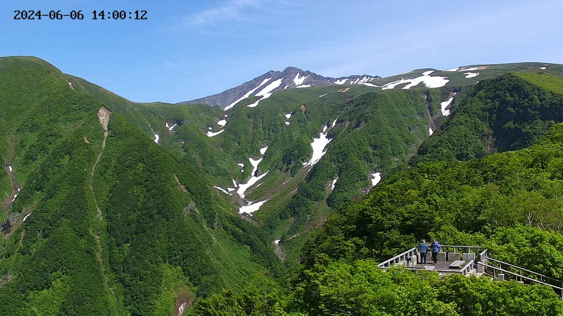zenkei20240606140014.jpg