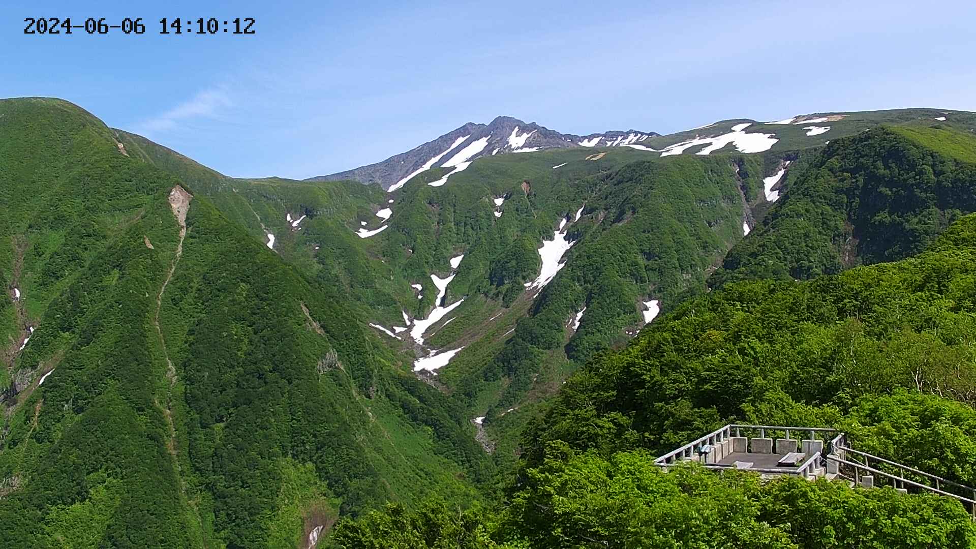zenkei20240606141014.jpg